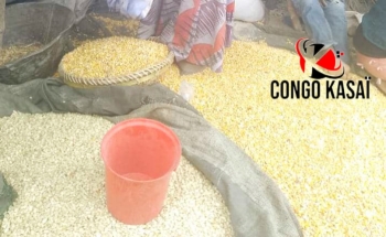 Kasai Central||Kananga respire : la stabilite du prix de mais qui redonne espoir !
