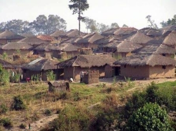 Kasai-Central : a Luiza, un drame lors du ramassage des chenilles plonge le village Matete dans le deuil